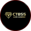 TPOWER GAME CT855 LIVE CASINO